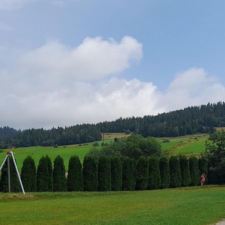 Pokoje Goscinne Budzowie Czarna Góra المظهر الخارجي الصورة