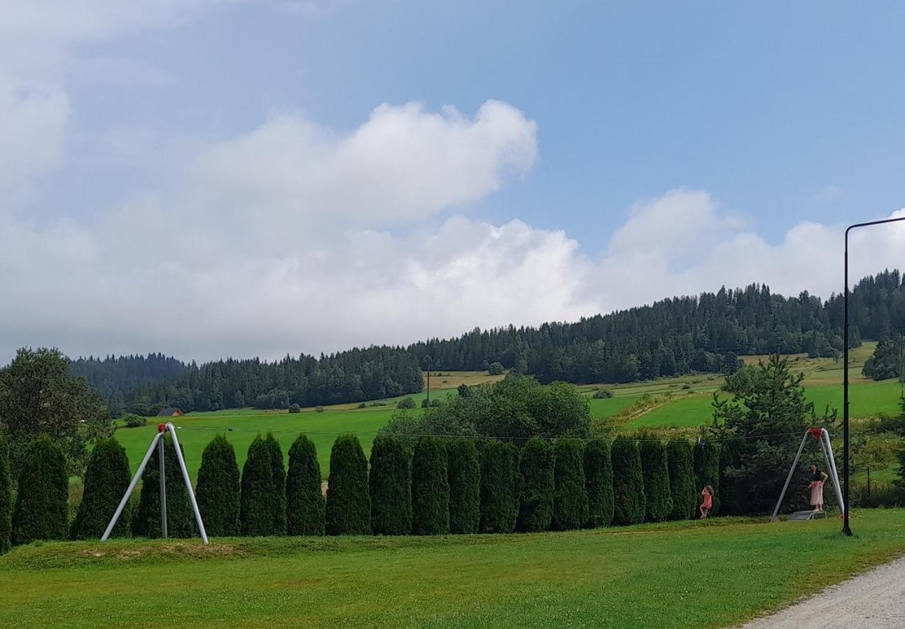Pokoje Goscinne Budzowie Czarna Góra المظهر الخارجي الصورة